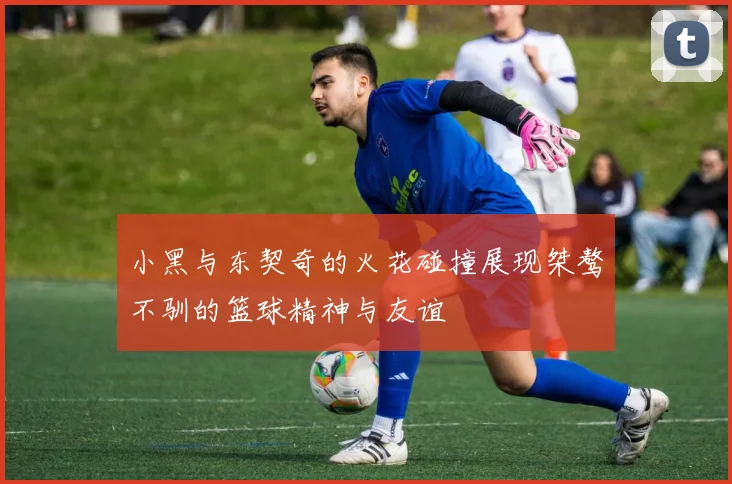 小黑与东契奇的火花碰撞展现桀骜不驯的篮球精神与友谊