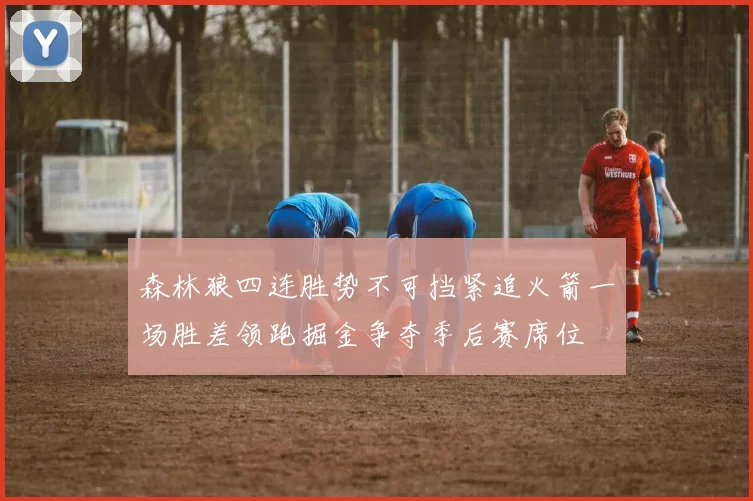 森林狼四连胜势不可挡紧追火箭一场胜差领跑掘金争夺季后赛席位