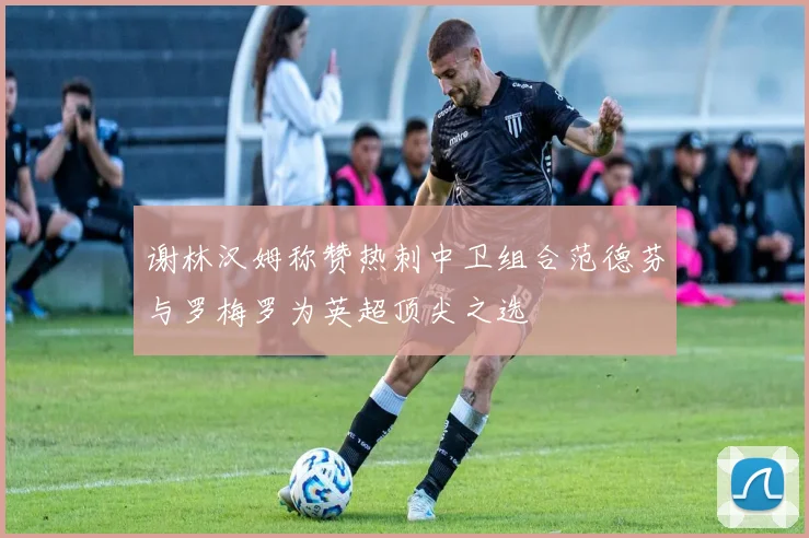 谢林汉姆称赞热刺中卫组合范德芬与罗梅罗为英超顶尖之选